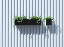 ニド ハコトコ コバコ1